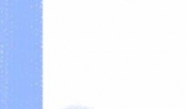 社会热点话题事件素材 明星资讯热点,热点事件背后的明星资讯解析